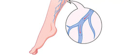 The Incredible Journey: Unraveling the Circulation of Blood in Your Veins